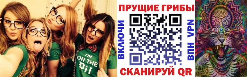 Галлюциногенные грибы мухоморы  МЕГА как войти  Заволжье 