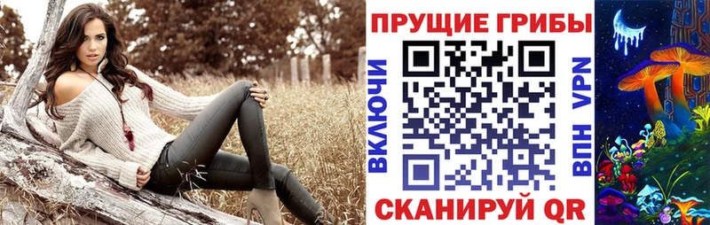 Галлюциногенные грибы прущие грибы Заволжье