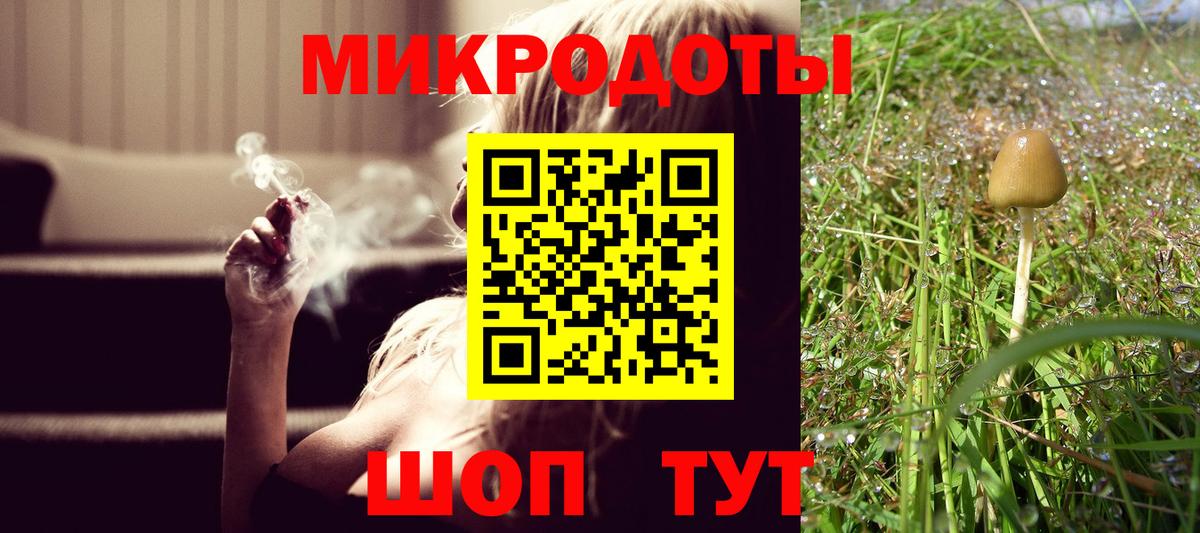Заволжье  Галлюциногенные грибы Psilocybine cubensis  Вход с VPN 