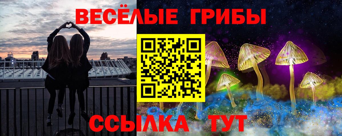 Псилоцибиновые грибы прущие грибы Заволжье