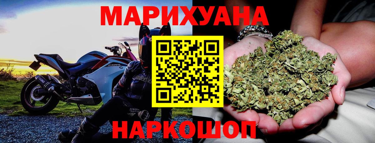 Канабис SATIVA & INDICA  Заволжье  Конопля конопля 